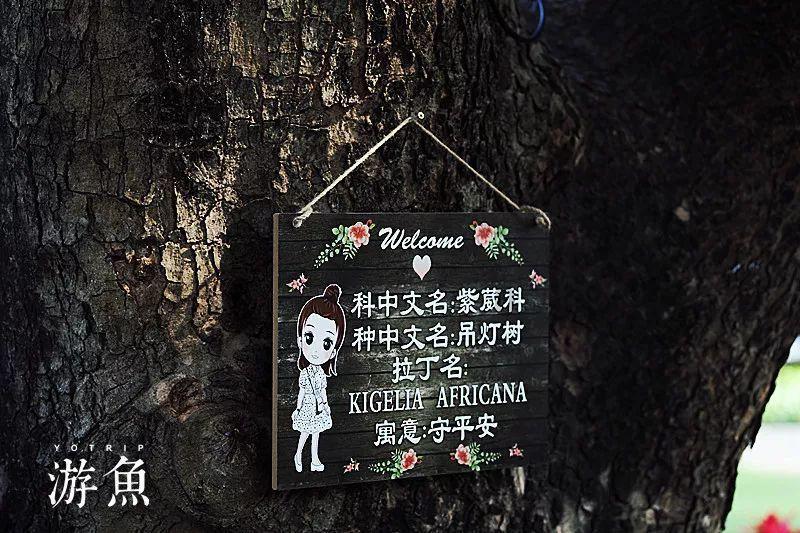 重磅!清盘令发出,恒大系股票停牌!医药白马股再度跌停,公司回应业内流传美提案所涉问题!最新海外机构关注这些股